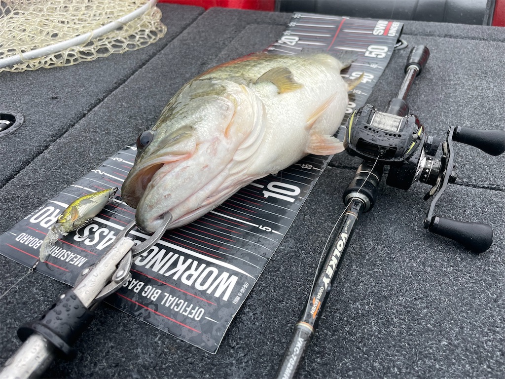 f:id:KFG:20220910031334j:image