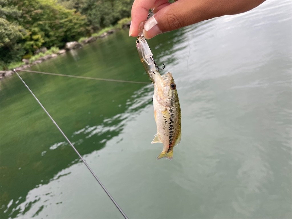 f:id:KFG:20220910085301j:image