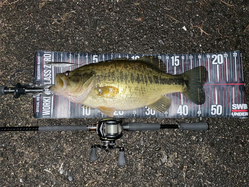 f:id:KFG:20221127050908j:image f:id:KFG:20221127050908j:image