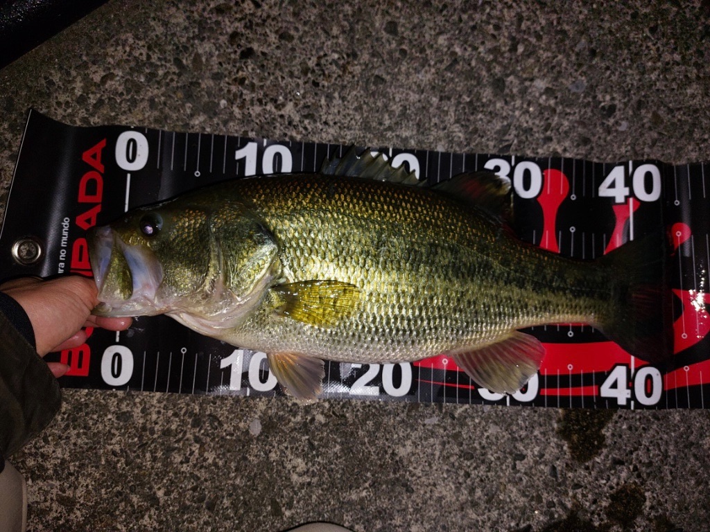 f:id:KFG:20230316111512j:image f:id:KFG:20230316111512j:image