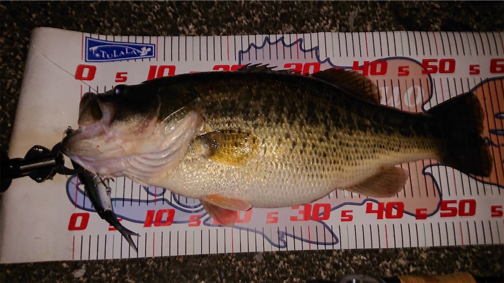 f:id:KFG:20230325092640j:image