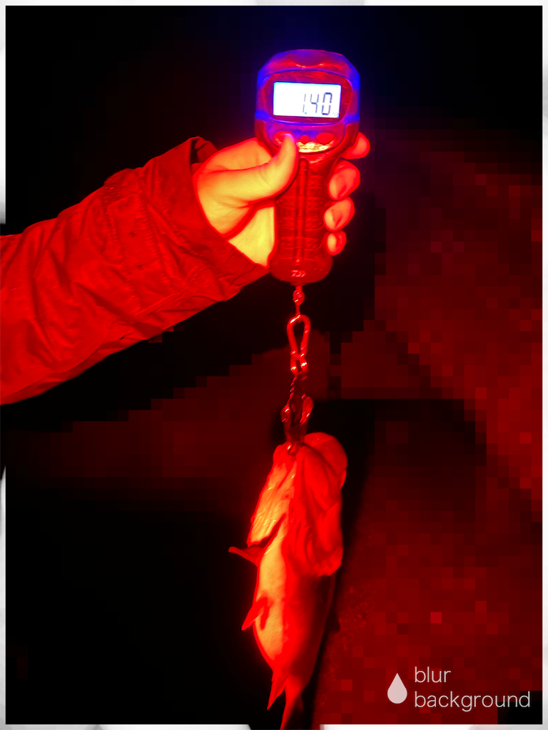 f:id:KFG:20230326100552p:image