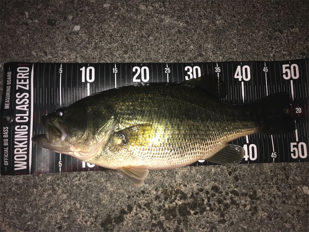 f:id:KFG:20230401073312j:image f:id:KFG:20230401073312j:image