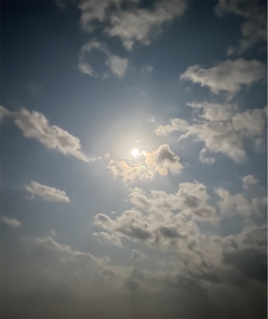 f:id:KFG:20230409102443j:image f:id:KFG:20230409102443j:image