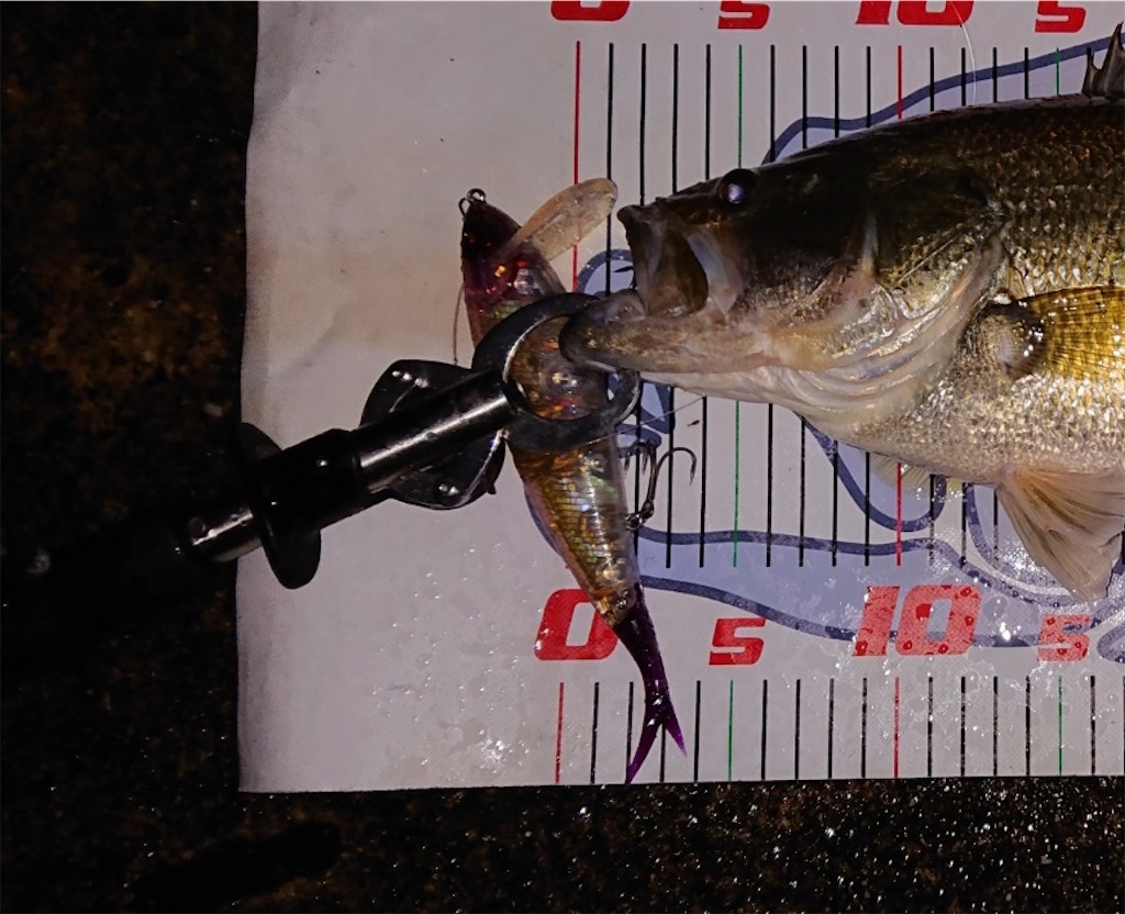 f:id:KFG:20230417084601j:image