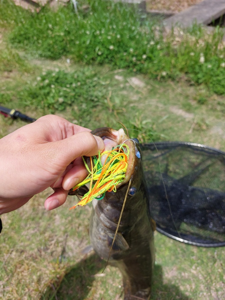 f:id:KFG:20230524183744j:image f:id:KFG:20230524183744j:image