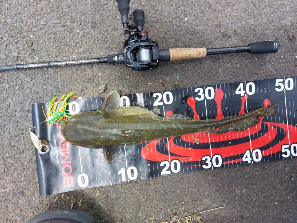 f:id:KFG:20230524183855j:image f:id:KFG:20230524183855j:image