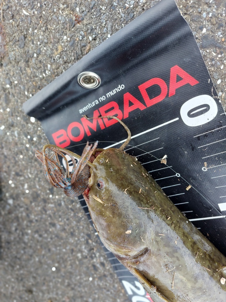 f:id:KFG:20230524183922j:image f:id:KFG:20230524183922j:image