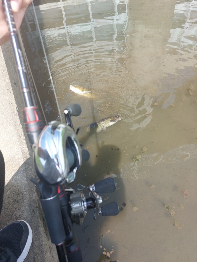 f:id:KFG:20230919174002j:image f:id:KFG:20230919174002j:image