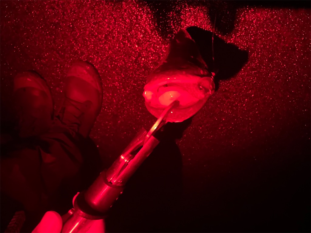 f:id:KFG:20240324133725j:image f:id:KFG:20240324133725j:image