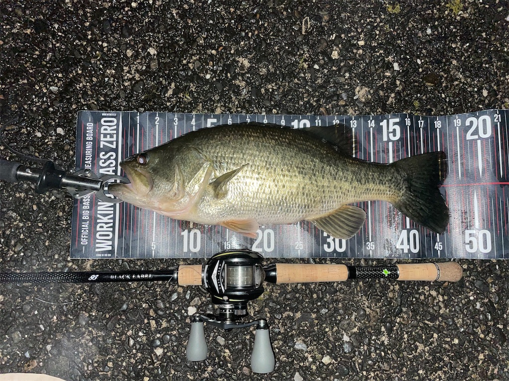 f:id:KFG:20240324133733j:image f:id:KFG:20240324133733j:image