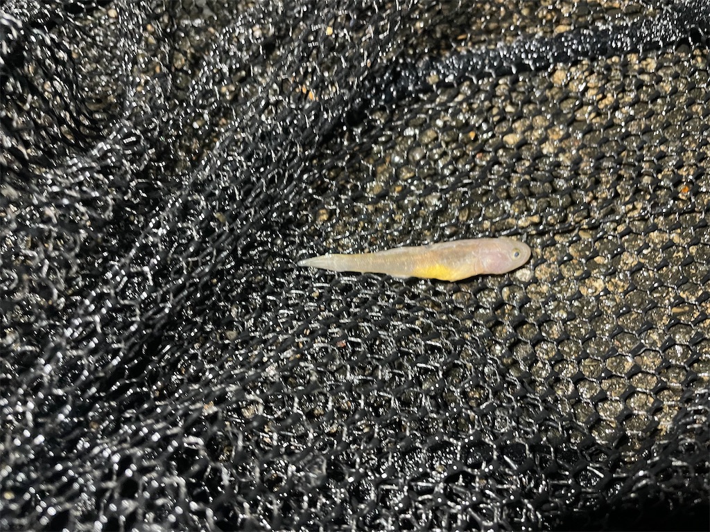 f:id:KFG:20240324133741j:image f:id:KFG:20240324133741j:image