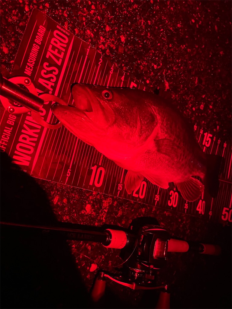 f:id:KFG:20240324133952j:image f:id:KFG:20240324133952j:image