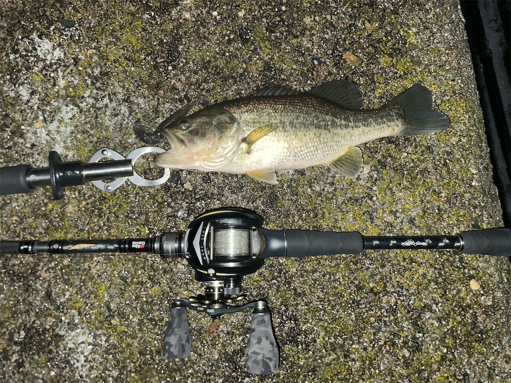 f:id:KFG:20260103174448j:image