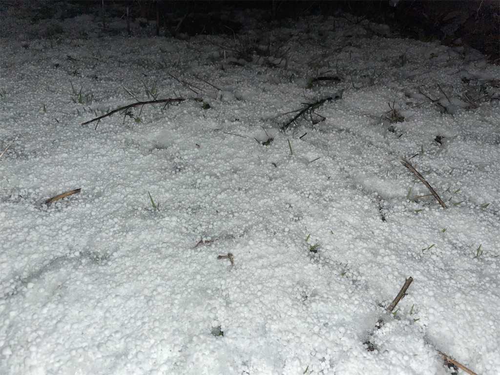 f:id:KFG:20260103200447j:image