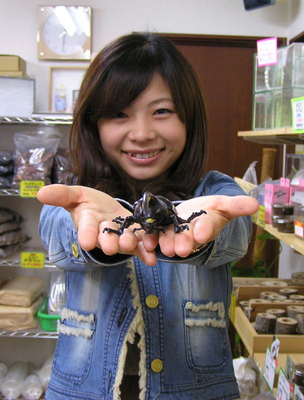 f:id:KG-Any:20130312004441j:image:w200