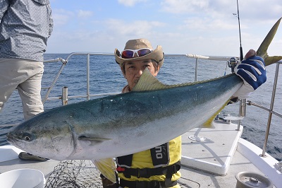 f:id:KG-Any:20160512080004j:image:w260