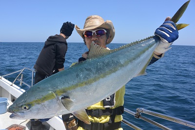 f:id:KG-Any:20160512115605j:image:w260