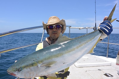 f:id:KG-Any:20160512123837j:image:w260