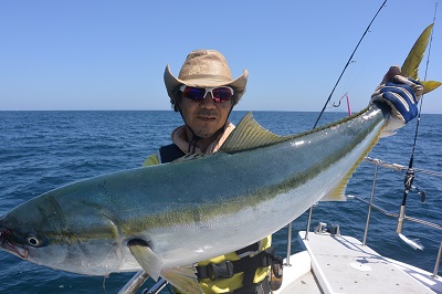 f:id:KG-Any:20160512130134j:image:w260