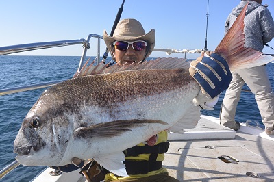 f:id:KG-Any:20160512155803j:image:w260