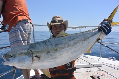 f:id:KG-Any:20160513110256j:image:w260