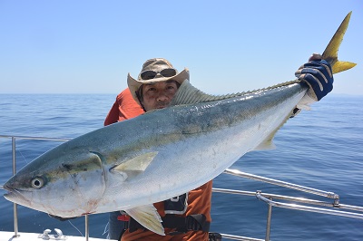 f:id:KG-Any:20160513112442j:image:w260