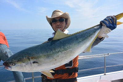 f:id:KG-Any:20160513132742j:image:w260