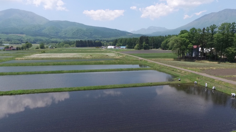 f:id:KG-Any:20160524200946j:image:w300