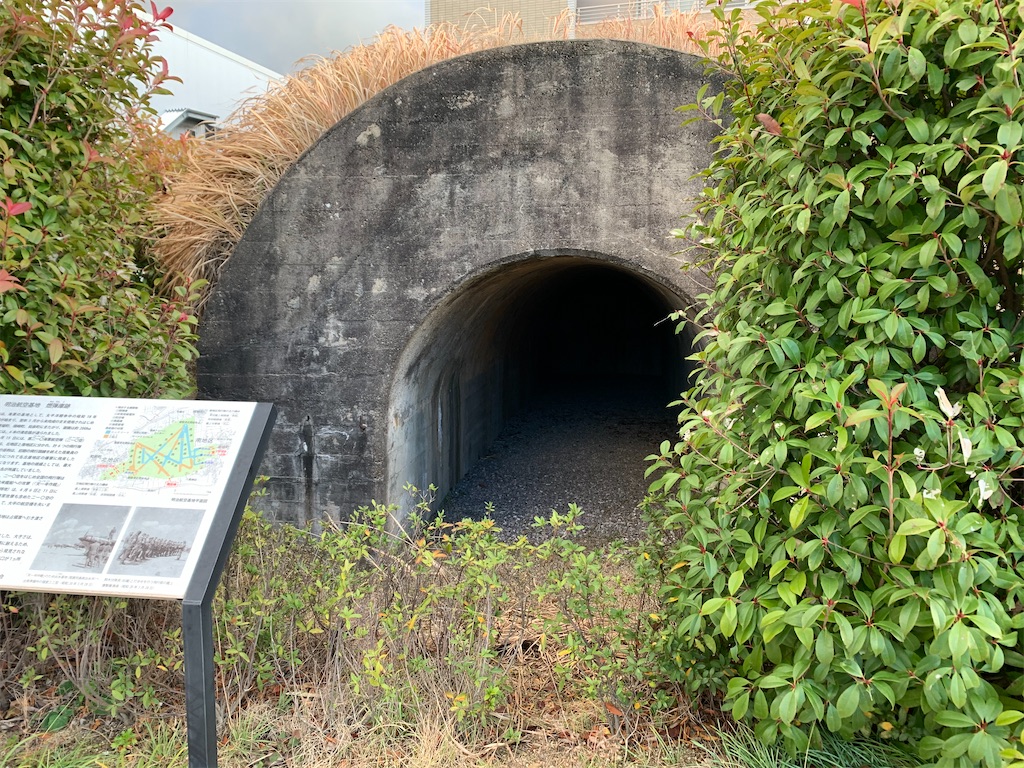 f:id:KIKUSUI:20210131211707j:image