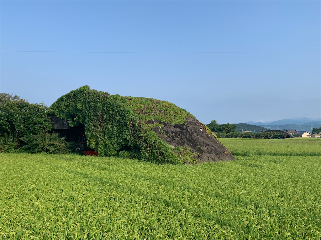 f:id:KIKUSUI:20220812001033j:image