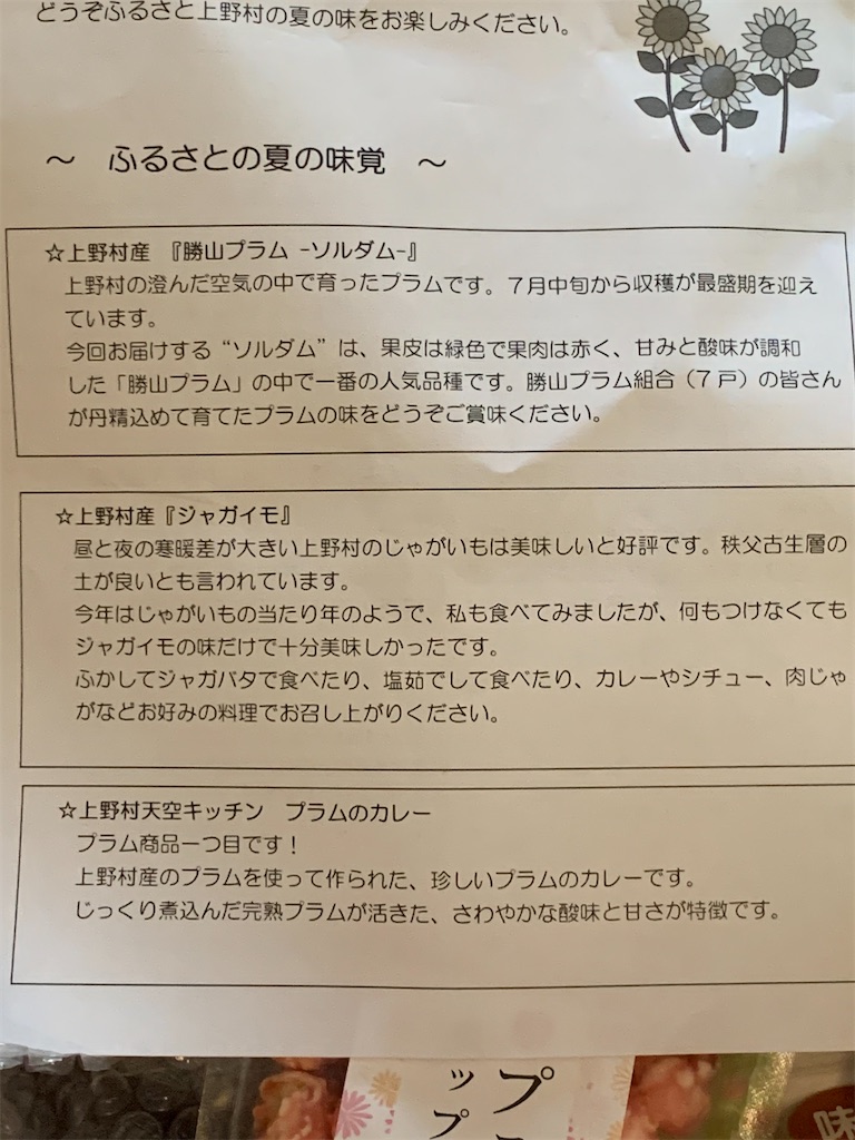 f:id:KIMOTIKO:20200724191944j:image