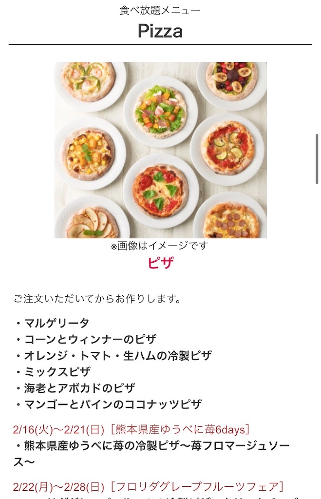 f:id:KIMOTIKO:20210221165458j:image
