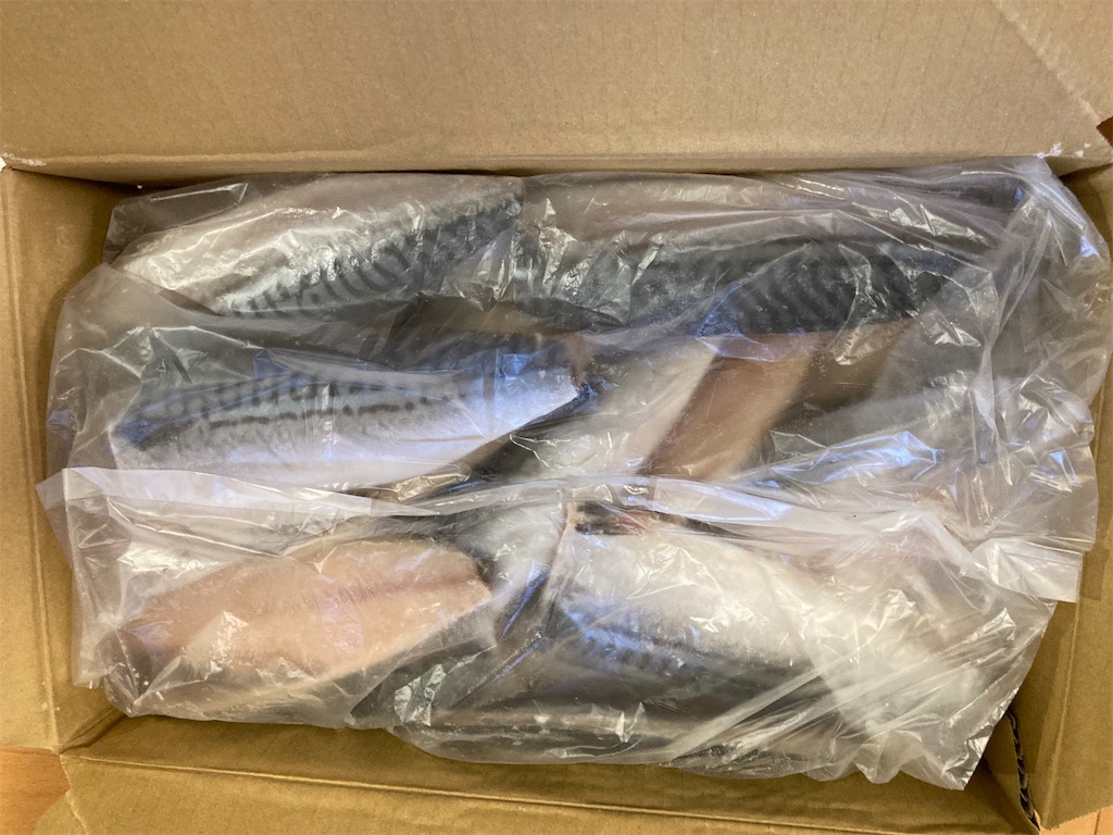 f:id:KIMOTIKO:20221130002636j:image