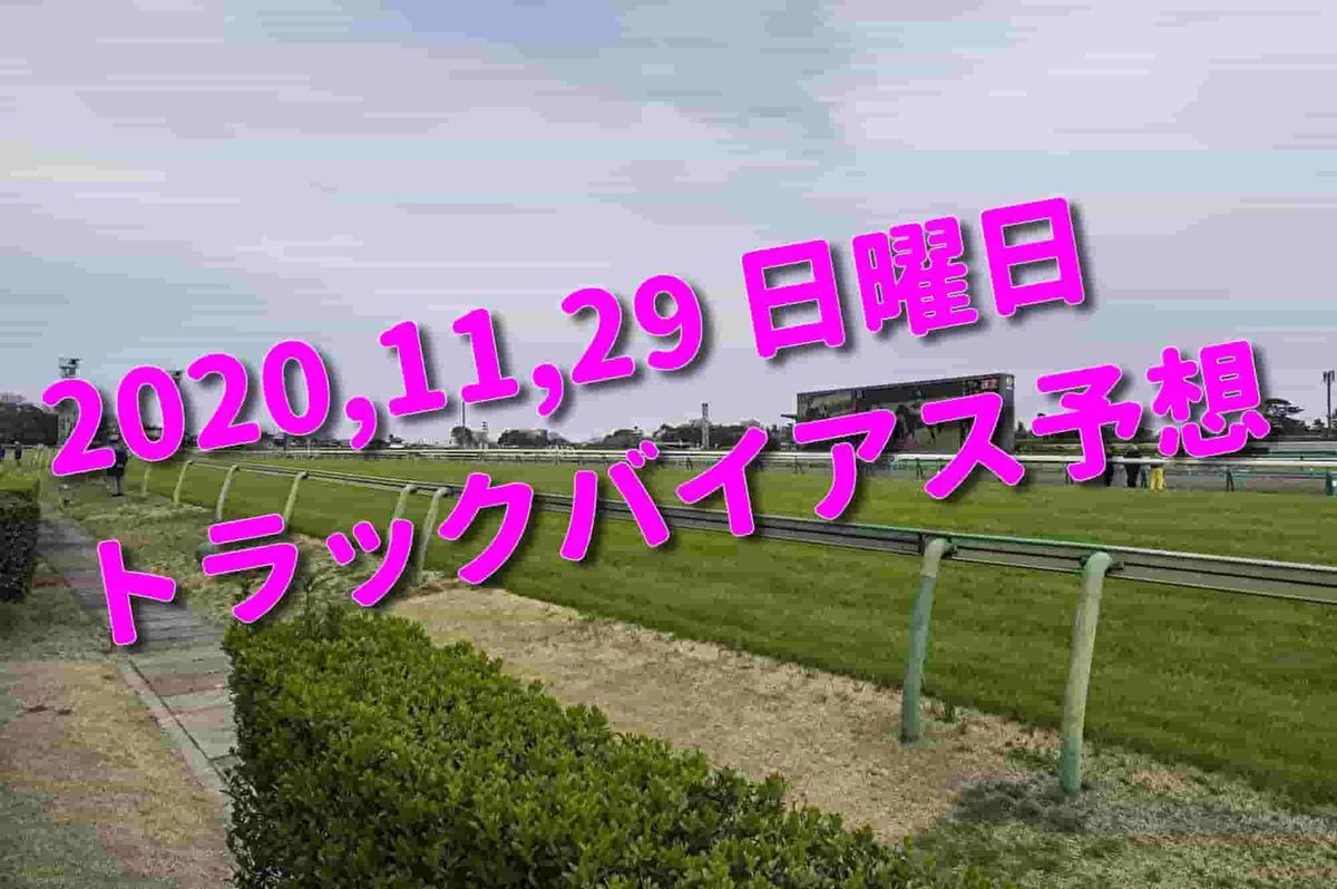 f:id:KITANOKURIGE:20201126230445j:plain