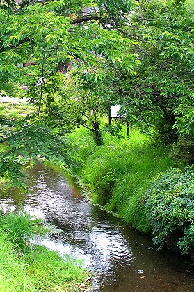 f:id:KIkiRAra:20200305204528j:plain f:id:KIkiRAra:20200305204528j:plain