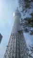 20130316103333