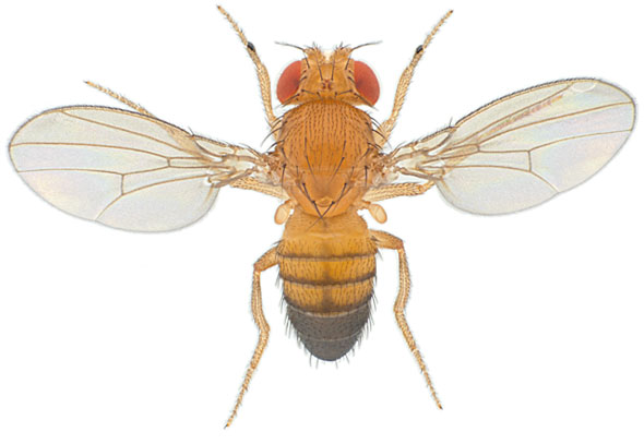 f:id:KJS:20160906120045j:plain f:id:KJS:20160906120045j:plain