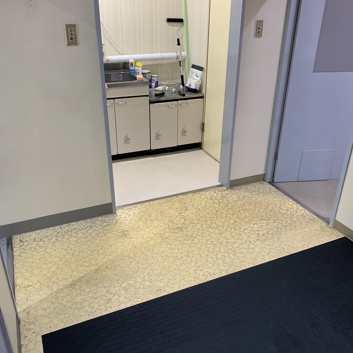 f:id:KKSAN:20190501231929j:plain