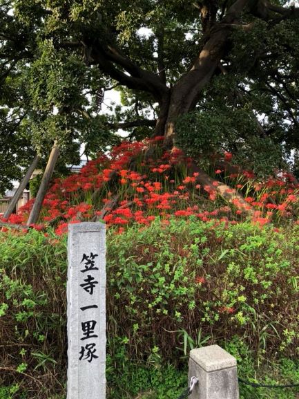 f:id:KMatsumura:20190721161028j:plain f:id:KMatsumura:20190721161028j:plain