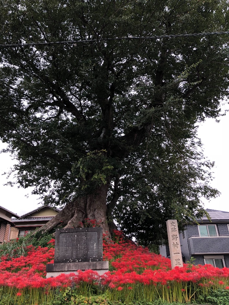 f:id:KMatsumura:20190727194946j:plain f:id:KMatsumura:20190727194946j:plain