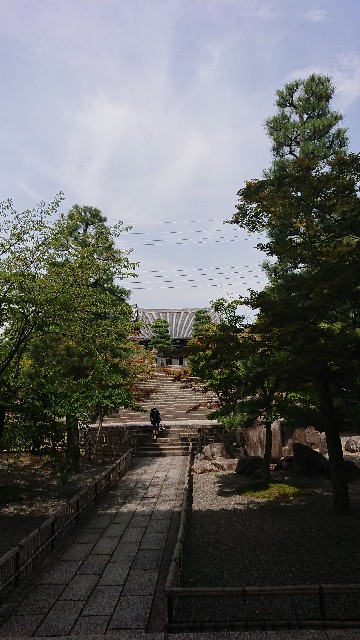 f:id:KOBANNAD:20180825034329j:image f:id:KOBANNAD:20180825034329j:image