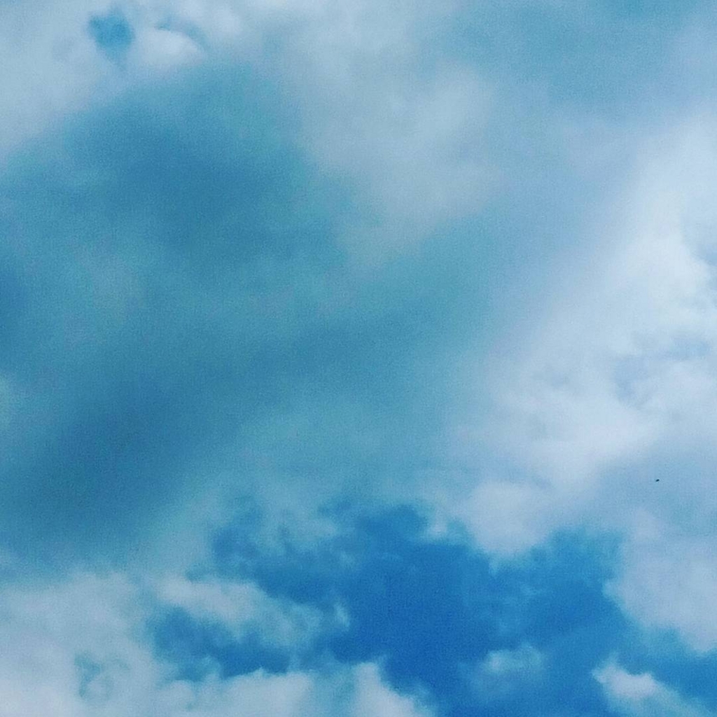 f:id:KOBUTAMAMA:20170909203939j:plain f:id:KOBUTAMAMA:20170909203939j:plain