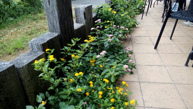 f:id:KOBUTAMAMA:20170916095028j:plain f:id:KOBUTAMAMA:20170916095028j:plain