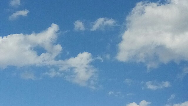 f:id:KOBUTAMAMA:20170918193819j:plain f:id:KOBUTAMAMA:20170918193819j:plain