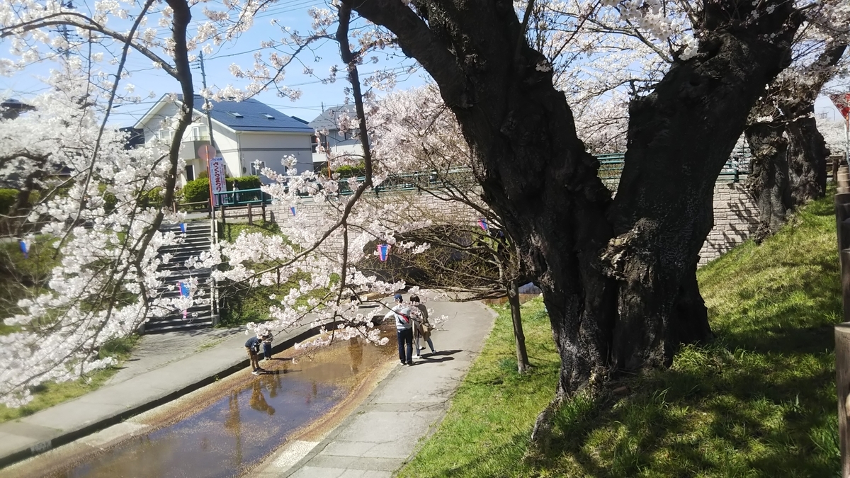 f:id:KODOMON:20190504083033j:plain f:id:KODOMON:20190504083033j:plain