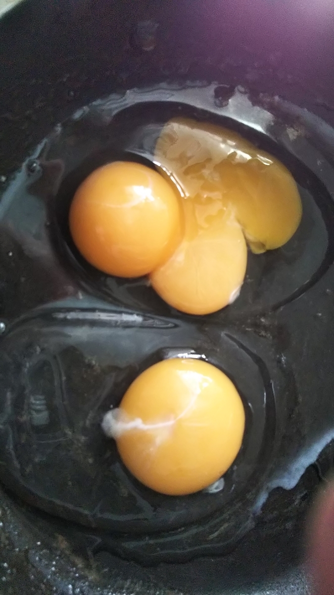 f:id:KODOMON:20190504095641j:plain f:id:KODOMON:20190504095641j:plain