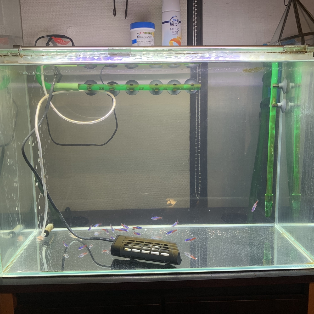 f:id:KOGANEHIME:20190724233821j:plain