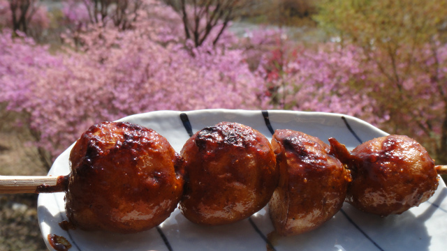 f:id:KOGE-KUN:20180423124459j:plain f:id:KOGE-KUN:20180423124459j:plain