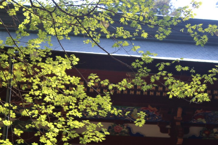 f:id:KOGE-KUN:20180423131416j:plain f:id:KOGE-KUN:20180423131416j:plain